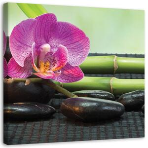 Obraz na plátně Kvetoucí orchidej na černých kamenech Rozměry: 30 x 30 cm