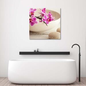 Obraz na plátně Růžové orchideje v misce Rozměry: 30 x 30 cm