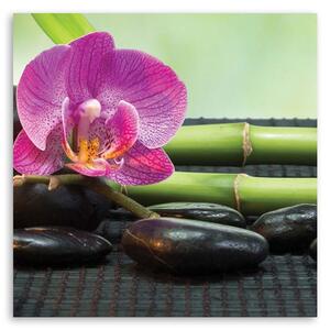 Obraz na plátně Kvetoucí orchidej na černých kamenech Rozměry: 30 x 30 cm