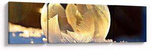 Obraz zamrzlé bubliny (170x50 cm)