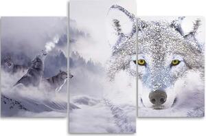 Obraz na plátně Bílý vlk před horami - 3 dílný Rozměry: 60 x 40 cm