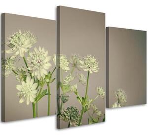Obraz na plátně Polní květiny - 3 dílný Rozměry: 60 x 40 cm
