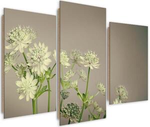 Obraz na plátně Polní květiny - 3 dílný Rozměry: 60 x 40 cm