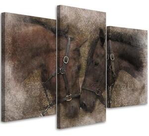 Obraz na plátně Dva hnědí koně - 3 dílný Rozměry: 60 x 40 cm