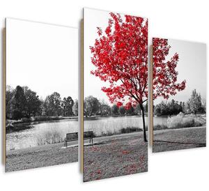 Obraz na plátně Strom s červenými listy - 3 dílný Rozměry: 60 x 40 cm
