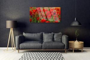 Akrylový obraz Máky Rostlina Příroda 100x50 cm
