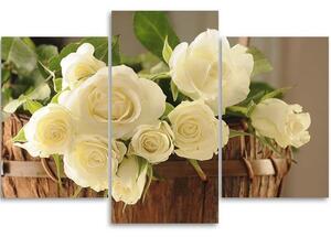 Obraz na plátně Žluté a bílé růže - 3 dílný Rozměry: 60 x 40 cm