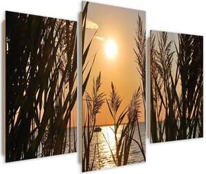 Obraz na plátně Západ slunce na břehu jezera - 3 dílný Rozměry: 60 x 40 cm