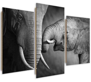 Obraz na plátně Sloní rodina - 3 dílný Rozměry: 60 x 40 cm