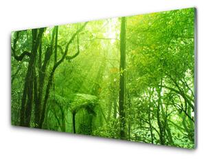 Kuchyňský skleněný panel Stromy Příroda 100x50 cm