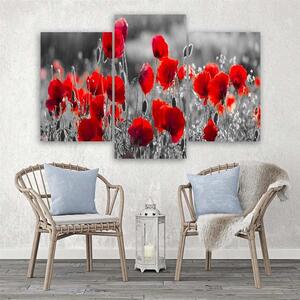 Obraz na plátně Červené máky na černobílé louce - 3 dílný Rozměry: 60 x 40 cm