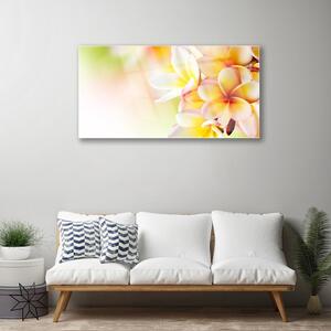 Obraz na skle Květiny Rostlina Příroda 140x70 cm