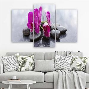 Obraz na plátně Orchidej a černé kameny - 3 dílný Rozměry: 60 x 40 cm
