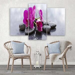Obraz na plátně Orchidej a černé kameny - 3 dílný Rozměry: 60 x 40 cm