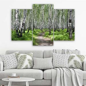 Obraz na plátně Březový les - 3 dílný Rozměry: 60 x 40 cm