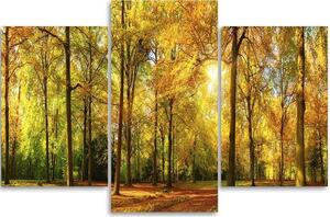Obraz na plátně Podzim v lese - 3 dílný Rozměry: 60 x 40 cm