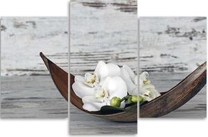 Obraz na plátně Bílé květy orchidejí - 3 dílný Rozměry: 60 x 40 cm