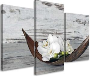 Obraz na plátně Bílé květy orchidejí - 3 dílný Rozměry: 60 x 40 cm