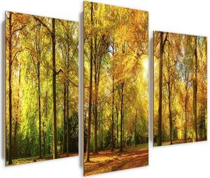 Obraz na plátně Podzim v lese - 3 dílný Rozměry: 60 x 40 cm