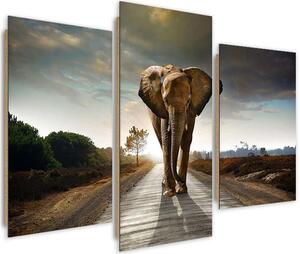 Obraz na plátně Putování slona na cestě - 3 dílný Rozměry: 60 x 40 cm