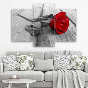 Obraz na plátně Červená růže - 3 dílný Rozměry: 60 x 40 cm