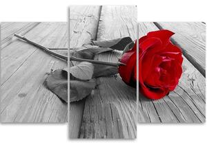Obraz na plátně Červená růže - 3 dílný Rozměry: 60 x 40 cm