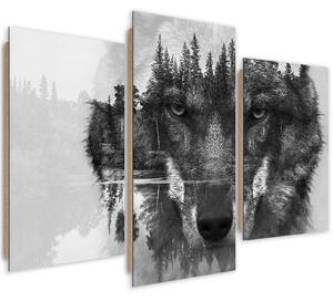 Obraz na plátně Černý vlk abstraktní - 3 dílný Rozměry: 60 x 40 cm
