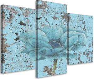 Obraz Mořská květina retro - 3 dílný Velikost: 60 x 40 cm, Provedení: Obraz na plátně