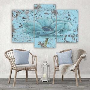 Obraz na plátně Mořská květina retro - 3 dílný Rozměry: 60 x 40 cm