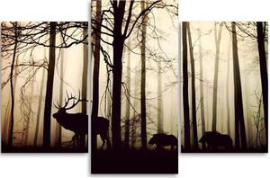 Obraz na plátně Lesní zvířata - 3 dílný Rozměry: 60 x 40 cm
