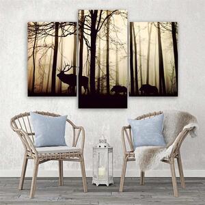 Obraz na plátně Lesní zvířata - 3 dílný Rozměry: 60 x 40 cm