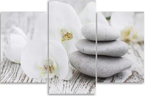 Obraz na plátně Bílá orchidej a kameny - 3 dílný Rozměry: 60 x 40 cm