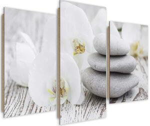 Obraz na plátně Bílá orchidej a kameny - 3 dílný Rozměry: 60 x 40 cm