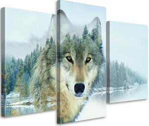 Obraz Bílý vlk a hory - 3 dílný Velikost: 60 x 40 cm, Provedení: Obraz na plátně