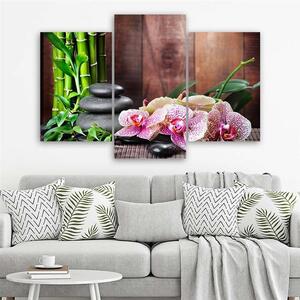 Obraz na plátně Orchidej, bambus a kameny - 3 dílný Rozměry: 60 x 40 cm