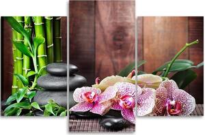 Obraz na plátně Orchidej, bambus a kameny - 3 dílný Rozměry: 60 x 40 cm