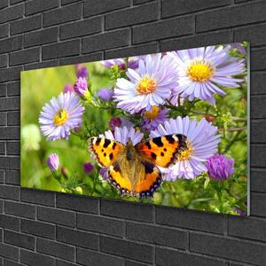 Obraz na skle Květiny Motýl Příroda 120x60 cm