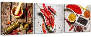 Sada obrazů Pálivé koření z chilli papriček - 3 dílná Velikost: 90 x 30 cm, Provedení: Obraz na plátně
