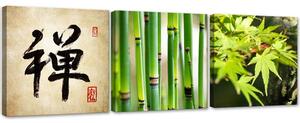 Sada obrazů na plátně Zelená asie - 3 dílná Rozměry: 90 x 30 cm