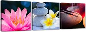 Sada obrazů na plátně Květiny a relaxační zen - 3 dílná Rozměry: 90 x 30 cm