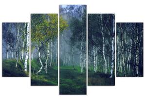 Obraz na plátně Břízy v mlze - 5 dílný Rozměry: 100 x 70 cm