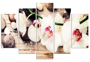 Obraz na plátně Bílá orchidej a kameny - 5 dílný Rozměry: 100 x 70 cm