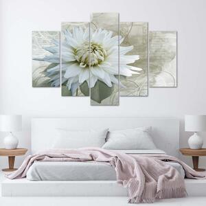 Obraz na plátně Bílá květina - 5 dílný Rozměry: 100 x 70 cm