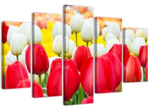 Gario Obraz Bílé a červené tulipány Velikost: 100 x 70 cm, Provedení: Obraz na plátně