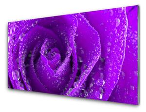 Kuchyňský skleněný panel Růže Květ 140x70cm