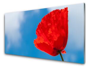 Kuchyňský skleněný panel Tulipán 125x50 cm
