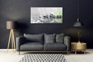 Obraz na skle Kameny Tráva Umění 120x60 cm