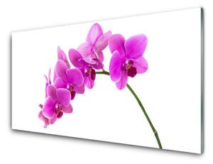 Skleněné obklady do kuchyně Vstavač Květ Orchidej 140x70 cm