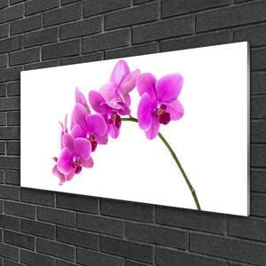 Obraz na skle Vstavač Květ Orchidej 125x50 cm