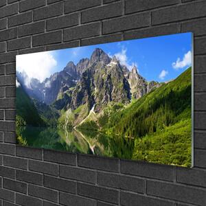 Obraz na skle Tatry Hory Mořské Oko Les 100x50 cm
